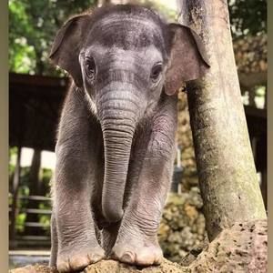 Meet your Posher, Manel